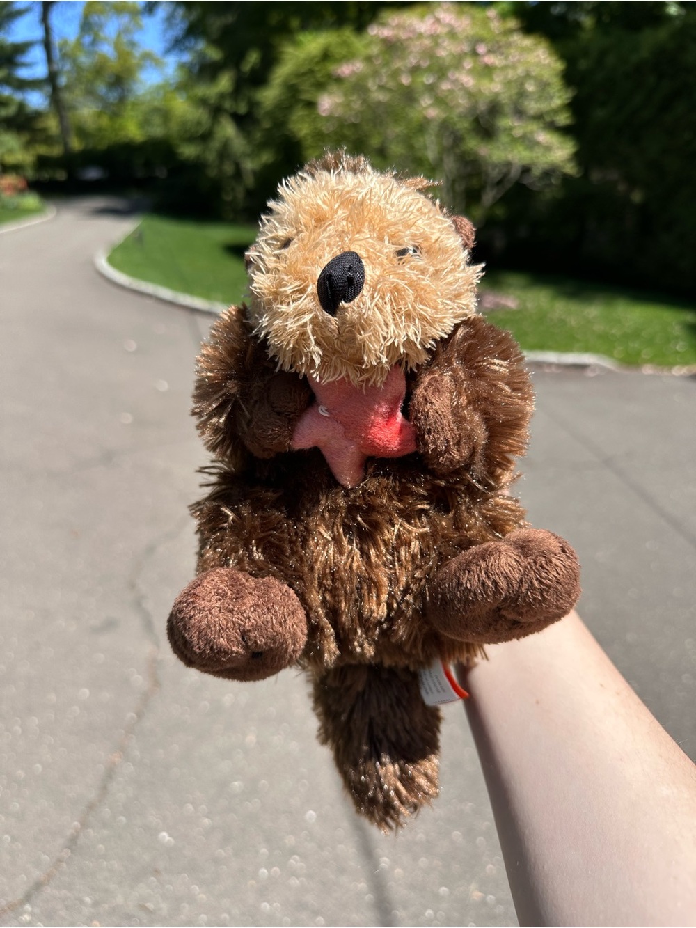 NWOT Wild Republic Plush Otter